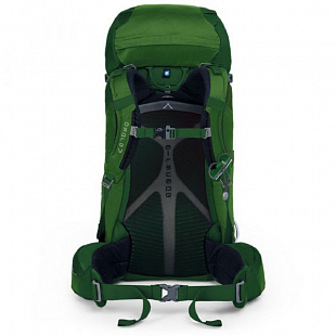 Рюкзак Osprey Kestrel 48 S-M Jungle Green