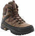 Ботинки Jack Wolfskin Impulse Pro Tex O2+ Mid M brown