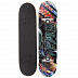 Скейтборд Ridex Streetbeat 31"