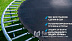 Батут Fitness Trampoline 14 Ft Extreme (4 опоры)