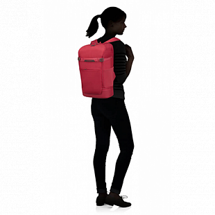 Рюкзак Samsonite Hexa-Packs CO5*40 004