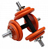 Набор гантелей USA Style SS-LDBS-213-D25 orange