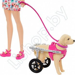 Кукла Barbie Toy Dogs & Pet Accessories (HTK37)