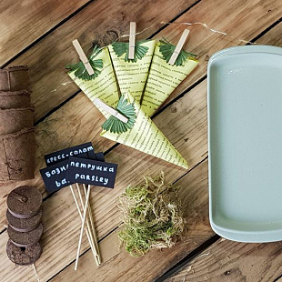 Подарочный набор Mini-garden-Box №28