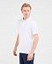 Поло Jogel ESSENTIAL Cotton Polo JE4PO-0121 white