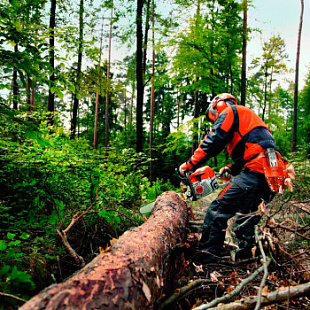 Бензопила Stihl MS 362 С-M Шина/цепь 37см 11400113072