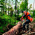 Бензопила Stihl MS 362 С-M Шина/цепь 37см 11400113072