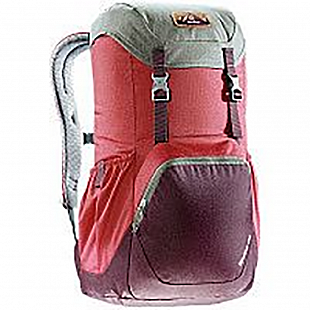 Рюкзак Deuter Walker 20L cranberry-aubergine