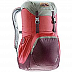Рюкзак Deuter Walker 20L cranberry-aubergine