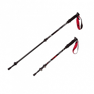 Палки треккинговые RGX TFG-05