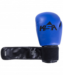 Перчатки боксерские KSA Spider blue