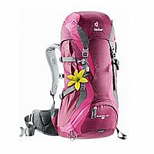 Рюкзак Deuter Futura 24 blackberry-magenta