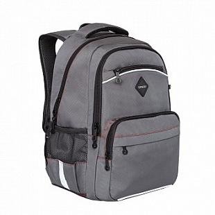 Рюкзак школьный GRIZZLY RB-962-2 /4 grey