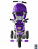 Велосипед Galaxy Лучик 3-х колесный purple
