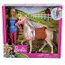 Игровой набор Barbie Барби с лошадью FXH13