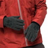 Перчатки мужские Jack Wolfskin Paw Gloves greenish grey