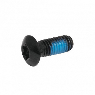 Болт тормозного диска TORX 25 6 шт 42435