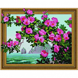 Алмазная вышивка 5D Picasso Вид на морской залив 5PD4050036