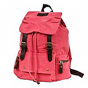 Городской рюкзак Polar П1160 red/pink