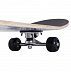 Скейтборд Ridex Hardflip 31"