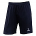 Шорты футбольные Jogel CAMP JFS-1120-061 black/white