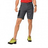 Шорты мужские Jack Wolfskin Active Track Shorts Men dark iron