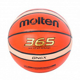 Мяч баскетбольный Molten №6 BGN6X Brown