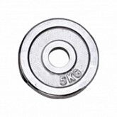 Диск хромированный 5 кг (26 мм)