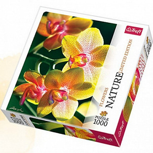 Пазл Trefl Орхидея 10503