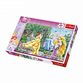 Пазл Trefl Прогулка перед балом 13141