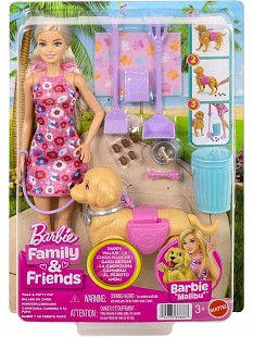 Кукла Barbie Family & Friends (JJB46)