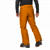 Брюки мужские Jack Wolfskin Powder Mountain Pants M rusty orange