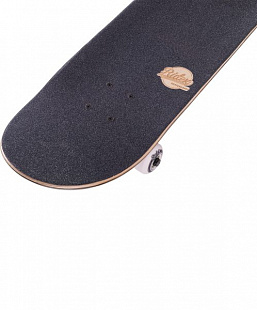 Скейтборд Ridex Deathhead 31.7"