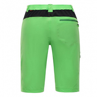 Шорты мужские Alpine Pro Cuom MPAJ176508 green