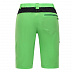 Шорты мужские Alpine Pro Cuom MPAJ176508 green