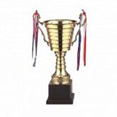 Кубок Т3030В 40 см