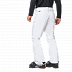 Брюки мужские Jack Wolfskin Powder Mountain Pants M white rush
