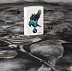 Зажигалка Zippo Spazuk Bluebird 49091 white matte Зажигалка Zippo Spazuk Bluebird 49091 white matte