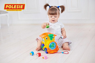 Игрушка Полесье Занимательный паровоз (в сеточке) 6189