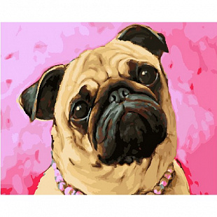 Картина по номерам Picasso Милашка мопс PC4050485