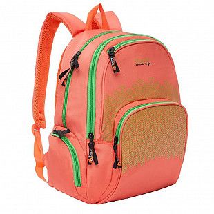 Рюкзак школьный Orange Bear VI-65 /2 orange