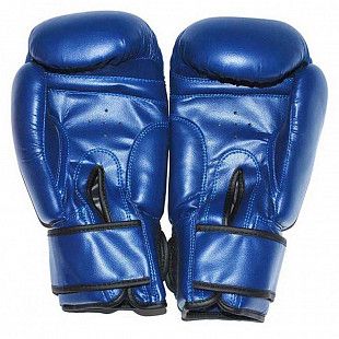 Перчатки боксёрские Zez Sport ZTQ-116-12 blue