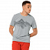 Футболка мужская Jack Wolfskin Crosstrail Graphic T M silver grey