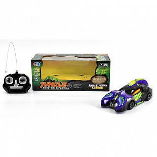 Машинка детская на р/у ESD899-4