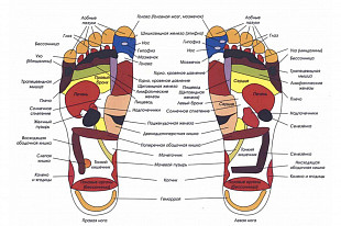 Массажер для стоп и лодыжек Bradex Блаженство KZ 0125 black
