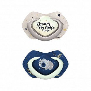 Пустышка Canpol babies Sleepy Koala силиконовая симметричная 6-18 мес. 2 шт. (22/659_blu) blue