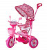 Трехколесный велосипед Amigo 107A4 pink