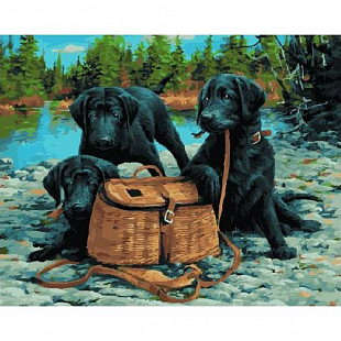 Картина по номерам Picasso Лабрадоры на охоте PC4050374