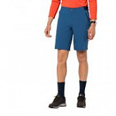 Шорты мужские Jack Wolfskin Delta Shorts M indigo blue