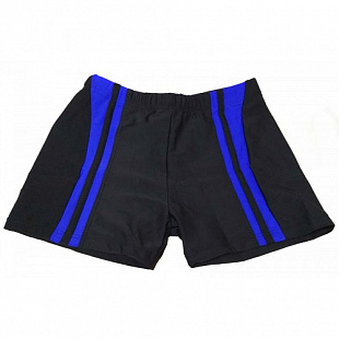 Трусы купальные для мальчиков Zez Sport 152422 dark blue/blue